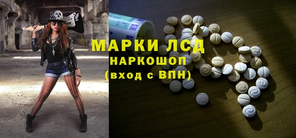 ПСИЛОЦИБИНОВЫЕ ГРИБЫ Алзамай